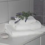 Nerudova Apartment Česká Lípa