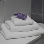 Nerudova Apartment