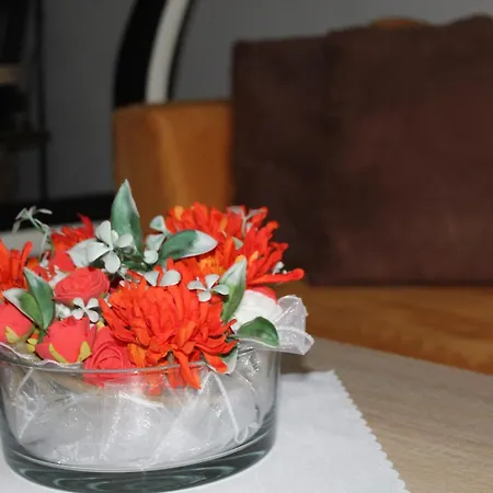 Nerudova Appartement *