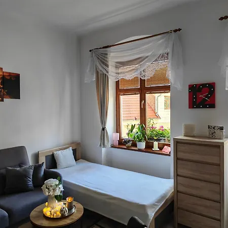 Apartment Nerudova